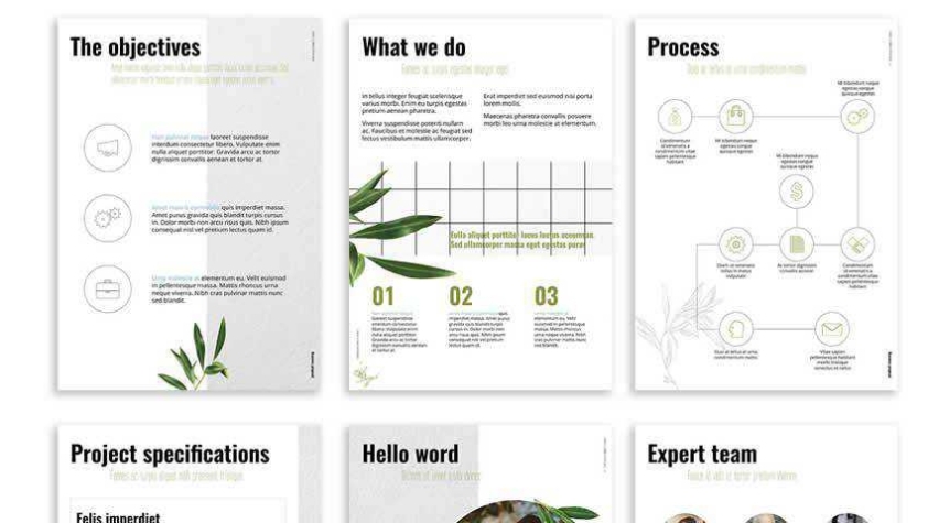10 Free Business Proposal Templates For Adobe Indesign regarding Business Proposal Indesign Template