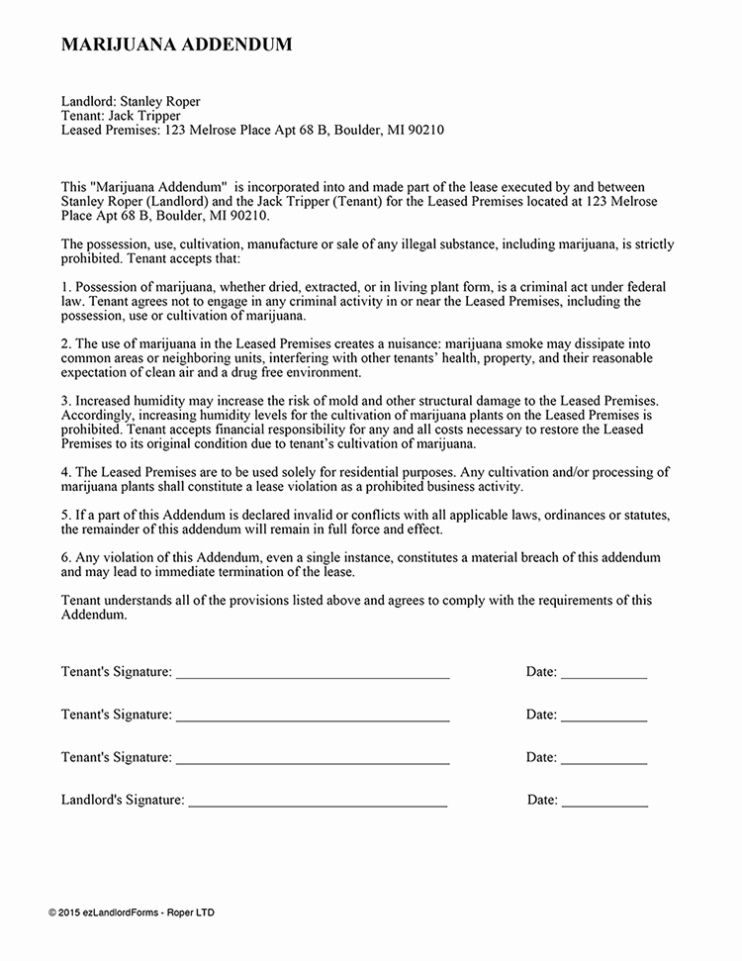 35 Rv Park Rental Agreement | Hamiltonplastering intended for Rv Rental Agreement Template