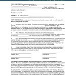40+ Free Partnership Agreement Templates (Business, General) for Partner Business Plan Template