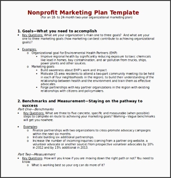 9 How To Make Tactical Marketing Plan In Word - Sampletemplatess Intended For Non Profit Business Plan Template Free Download