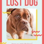 Free Printable, Customizable Lost Dog Poster Templates | Canva for Lost Dog Flyer Template