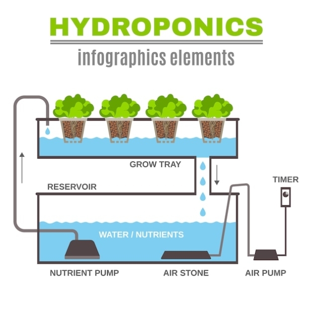 Free Vector | Infographic Hydroponic Illustration In Aquaponics Business Plan Templates