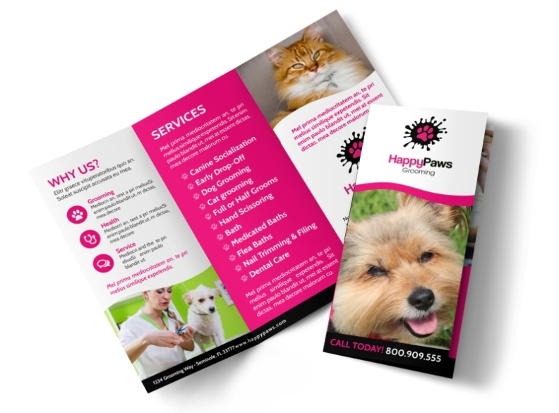 Fun Pet Grooming Tri Fold Brochure Template | Mycreativeshop Pertaining To Dog Grooming Flyers Template