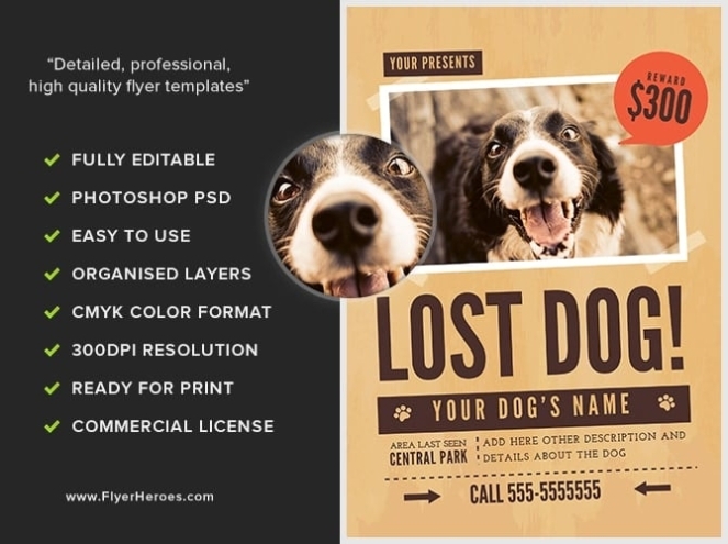 Lost Dog Flyer Template 1 - Flyerheroes For Lost Dog Flyer Template