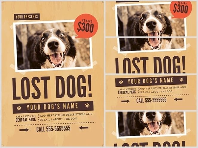 Lost Dog Flyer Template 1 - Flyerheroes Within Missing Dog Flyer Template