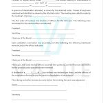 Minutes Of Annual Shareholder Meeting - Value Governance Research within Minutes Of Shareholders Meeting Template
