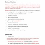 Online Fashion Boutique Business Plan Template Sample Pages - Black Box in Business Plan Template For Clothing Line