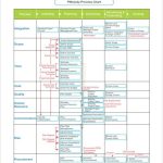 Process Chart Template - 9+ Free Pdf Documents Download | Free in Business Process Design Document Template