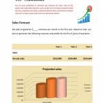 Retail Fashion Store Business Plan Template (Physical Location) Sample with Boutique Business Plan Template