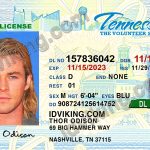 Tennessee (Tn) - Drivers License Psd Template Download - Idviking intended for Fake Business License Template
