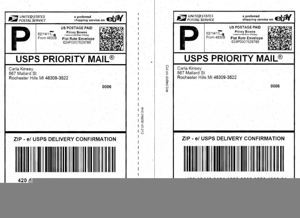 Usps Shipping Label Template Download - 10+ Professional Templates Ideas With Usps Shipping Label Template Download